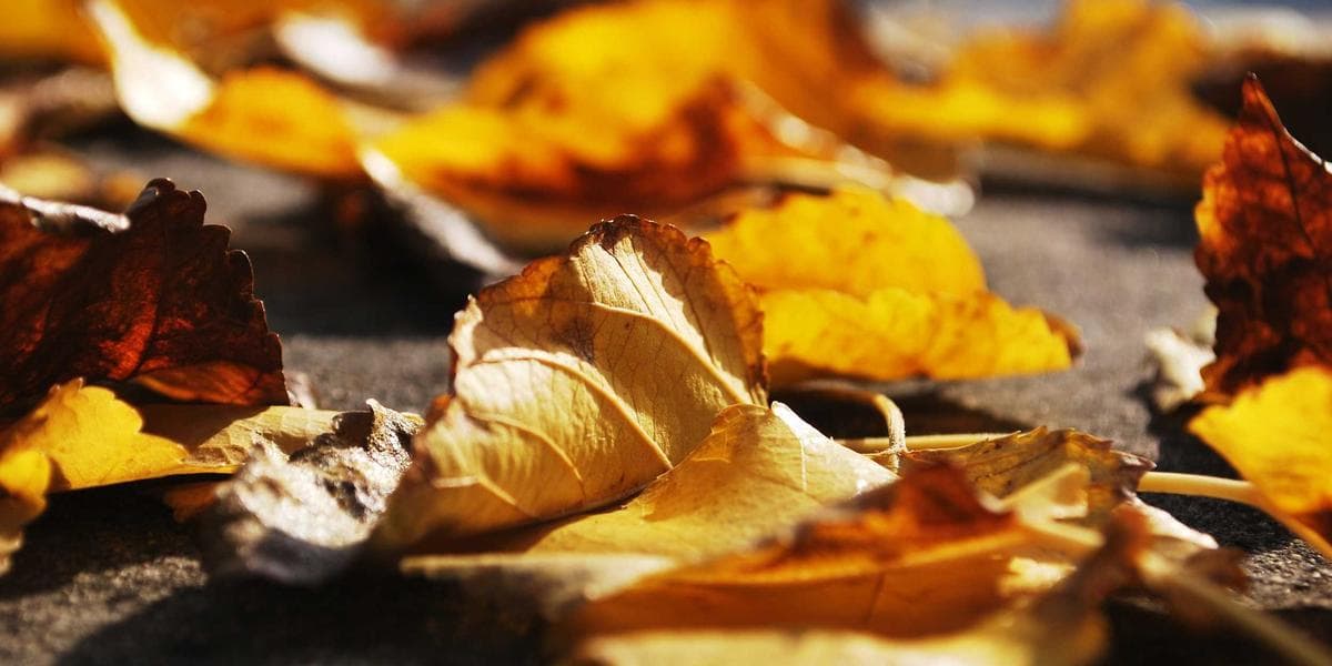 PIXLLAND Spark Hackathon